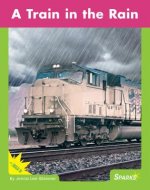 A Train in the Rain