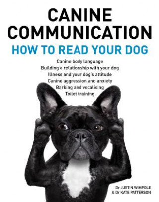 Canine Communication: How to Read Your Dog