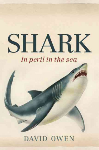 Shark: In Peril in the Sea