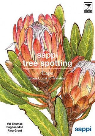 Sappi Tree Spotting Cape: From Coast to Kalahari