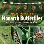 How to Raise Monarch Butterflies: A Step-By-Step Guide for Kids