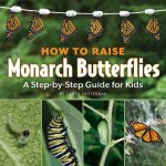 How to Raise Monarch Butterflies: A Step-by-Step Guide for Kids