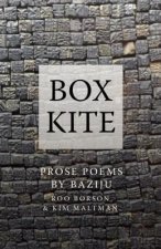 Box Kite