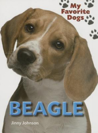 Beagle