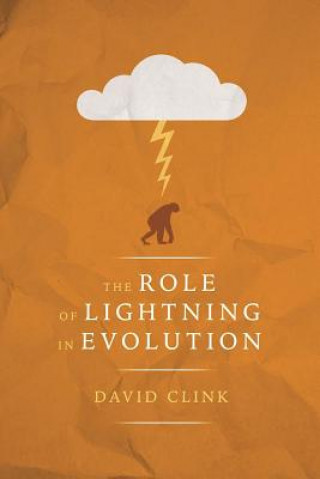 Role of Lightning in Evolution