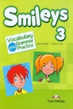 Smileys 3 Vocabulary and Grammar Practice