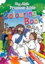 My Little Promise Bible Colouring Book