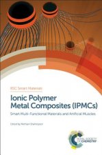 Ionic Polymer Metal Composites (IPMCs)