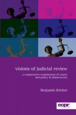 Visions of Judicial Review