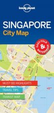 Lonely Planet Singapore City Map