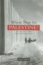 Where Now for Palestine?