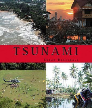 Tsunami