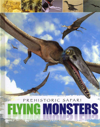 Flying Monsters
