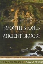 Smooth Stones Taken from Ancient Brooks: Being a Collection of Sentences, Illustrations, and Quaint Sayings from That Renowned Puritan, Thomas Brooks