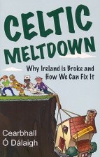 Celtic Meltdown: Why Ireland Is Broke and How We Can Fix It