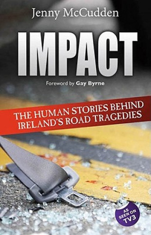 Impact: The Human Stories Behind Ireland's Road Tragedies