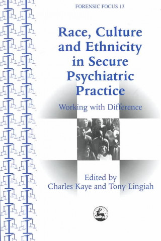 Race, Culture and Ethnicity in Secure Psychiatric Practice: Working with Difference