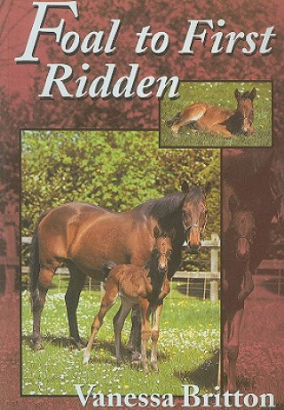 Foal to First Ridden: A Common Sense Approach to Breeding and Training a Foal
