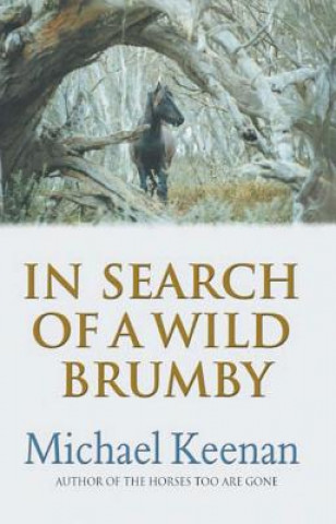 In Search of a Wild Brumby