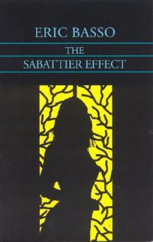 The Sabattier Effect