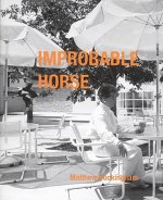 Matthew Buckingham: Improbable Horse