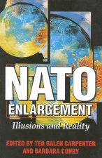 NATO Enlargement: Illusions and Reality