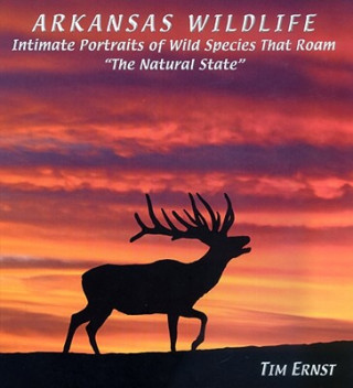 Arkansas Wildlife: Intimate Portraits of Wild Species That Roam 
