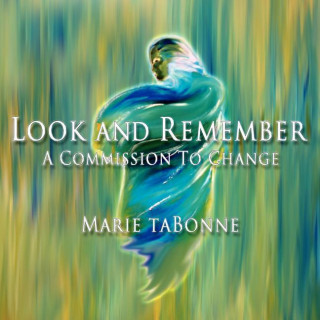 Look and Remember - A Commission to Change