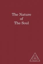 The Nature of the Soul