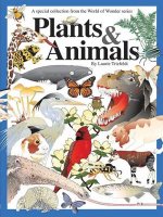 World of Wonder: Plants and Animals
