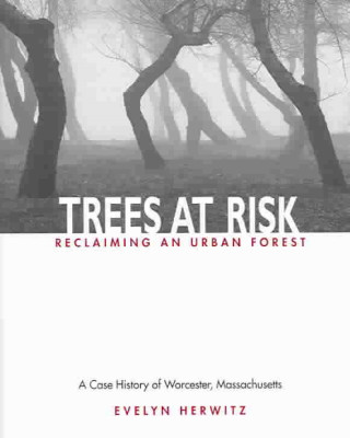 Trees at Risk: Reclaiming an Urban Forest