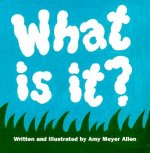 What Is It?