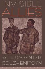 Invisible Allies