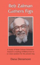 Reb Zalman Gathers Figs