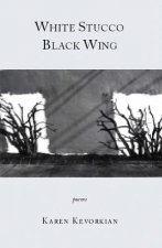 White Stucco Black Wing