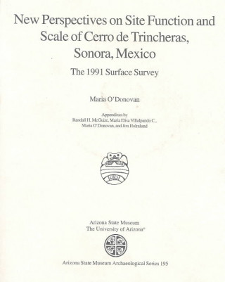 New Perspectives on Site Function and Scale of Cerro de Trincheras, Sonora, Mexico: The 1991 Surface Survey
