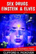 Sex, Drugs, Einstein, & Elves: Sushi, Psychedelics, Parallel Universes, and the Quest for Transcendence