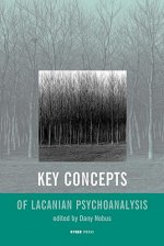 Key Concepts of Lacanian Theory