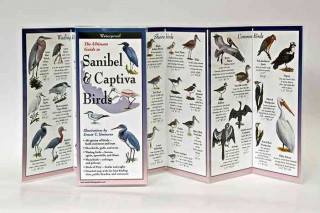 Sanibel & Captiva Birds