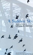 A Sudden Sky: Selected Poems