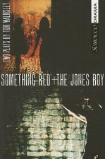 Something Red + the Jones Boy