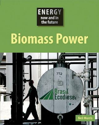 Biomass Power