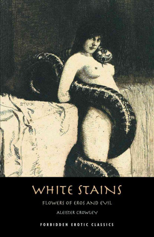 White Stains & the Nameless Novel