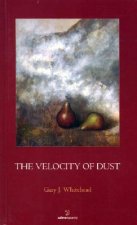 The Velocity of Dust
