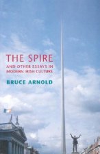 The Spire and Other Essays in Modern Irish Culture