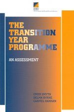 The Transition Year Programme: An Assessment
