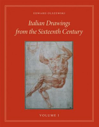 Italian Drawings from the Sixteenth Century