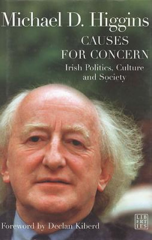 Causes for Concern: Irish Politics, Culture and Society
