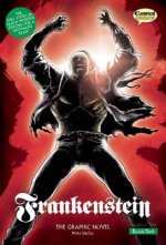 Frankenstein: The Graphic Novel