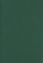 Essays II: On Civilising Processes, State Formation and National Identity